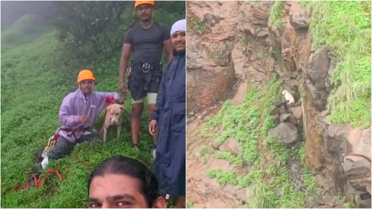Maharashtra News: Sahyadri Mitra Emergency Team Rescues Stray Dog Trapped For 2 Days In 200-Foot Matheran Gorge