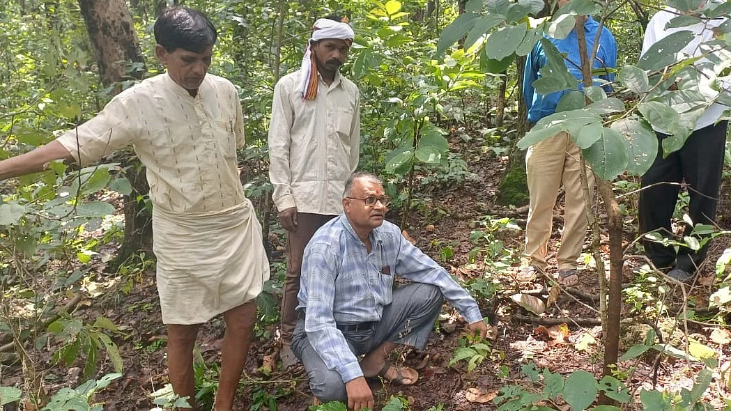 Tribal man who carries a forest of cures within him in Madhya Pradesh's Indore |