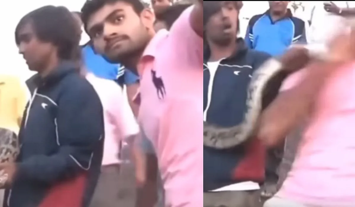 Indian Python Bites Man Taking Selfie | X/@streetdogsofbombay
