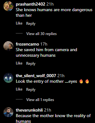 Comments