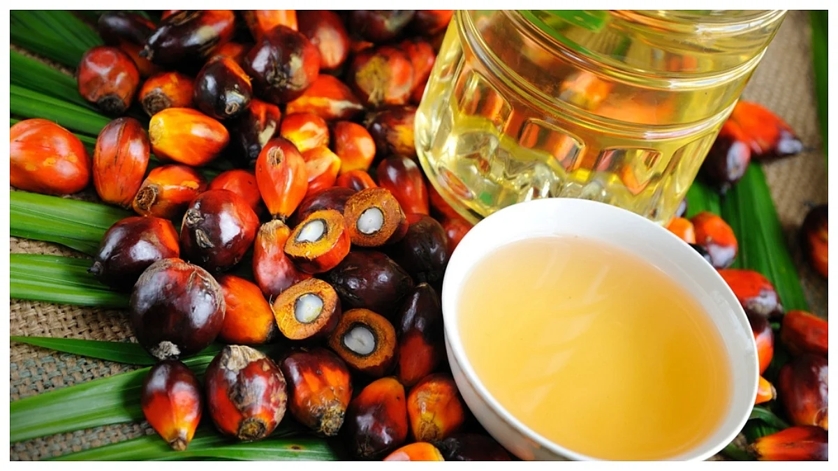 Malaysia's Crude Palm Oil Exports To India Rebound To 2.5 lakh Tonne In May & June, Market Share In India Rises To 35%