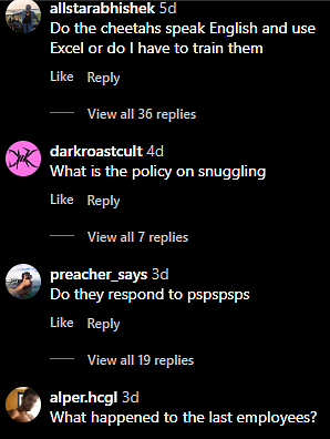 Comments