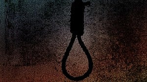 article-image