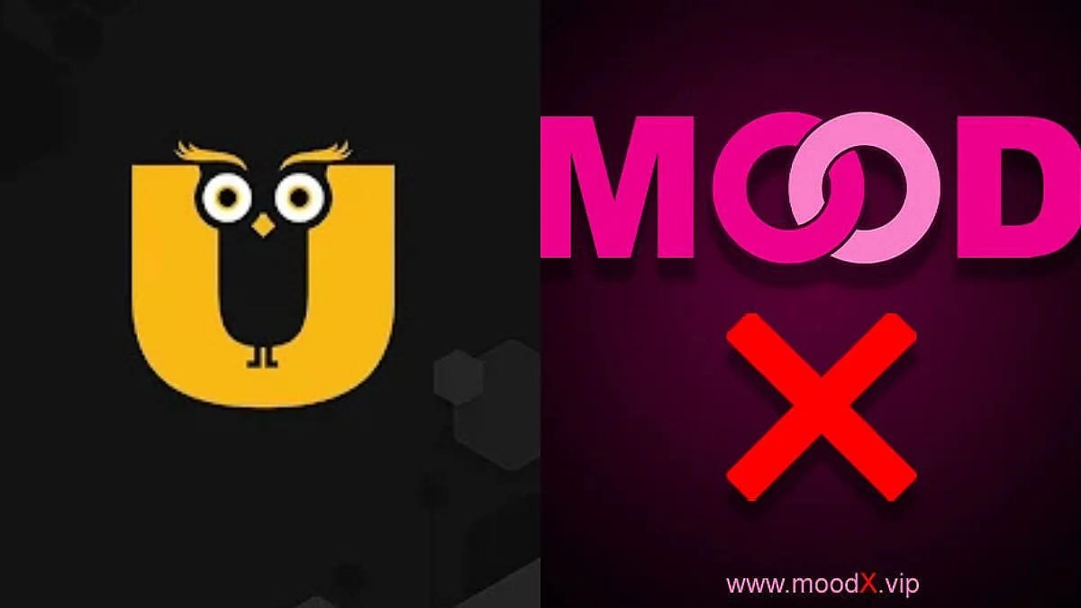 BIG Crackdown! Govt Bans Ullu, ALTT, Big Shots, MoodX & 20 Other Apps For Promoting Obscene & Adult Content