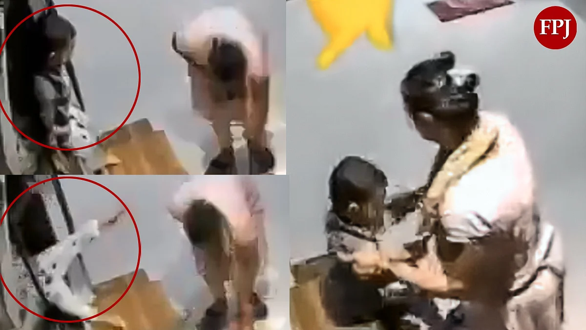 Palghar Tragedy: 3-Year-Old Girl Dies After Falling From 12th Floor In Nalasopara East, Probe Underway  (VIDEO)
