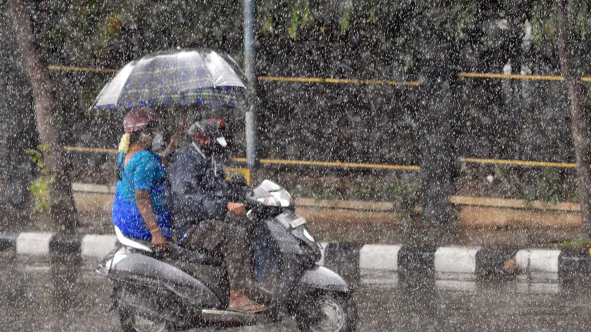 MP July 25 Weather Update: Flood-Like Situation In Many Areas; Red Alert In Sehore, Harda & More