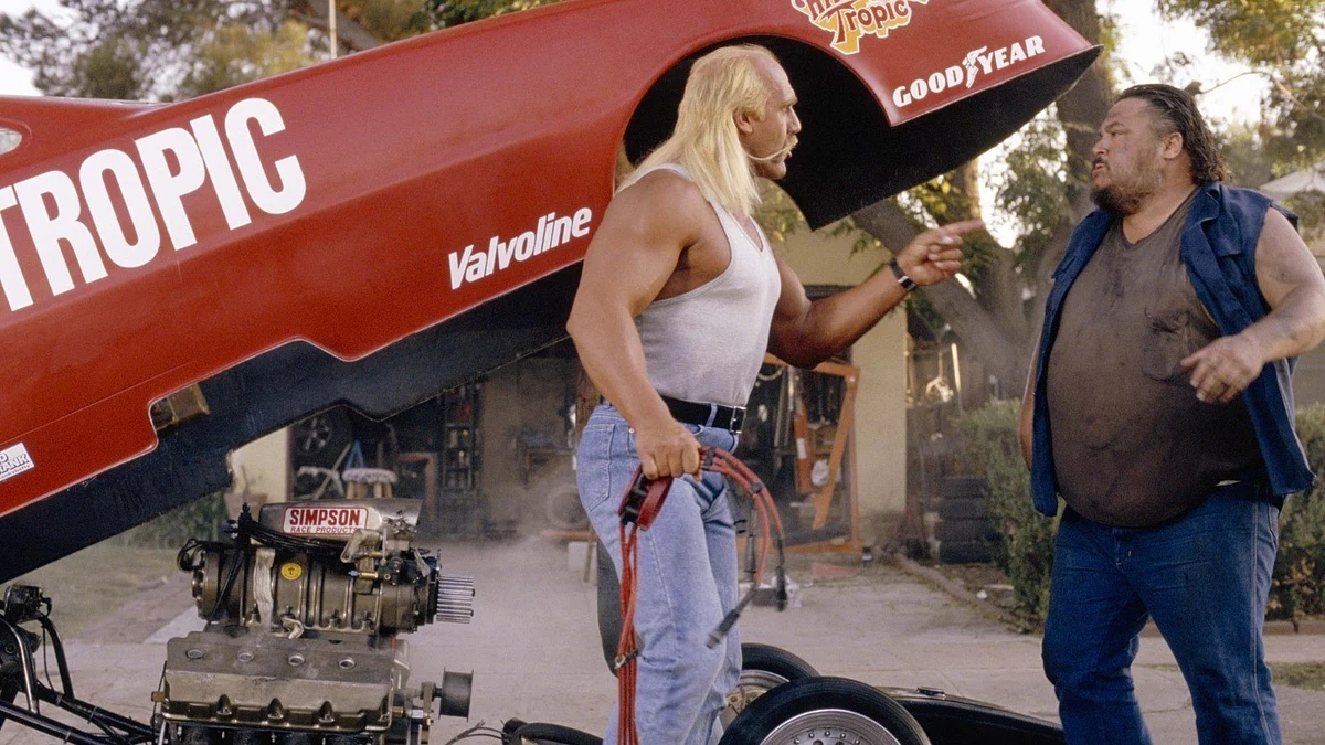 Suburban Commando (1991)