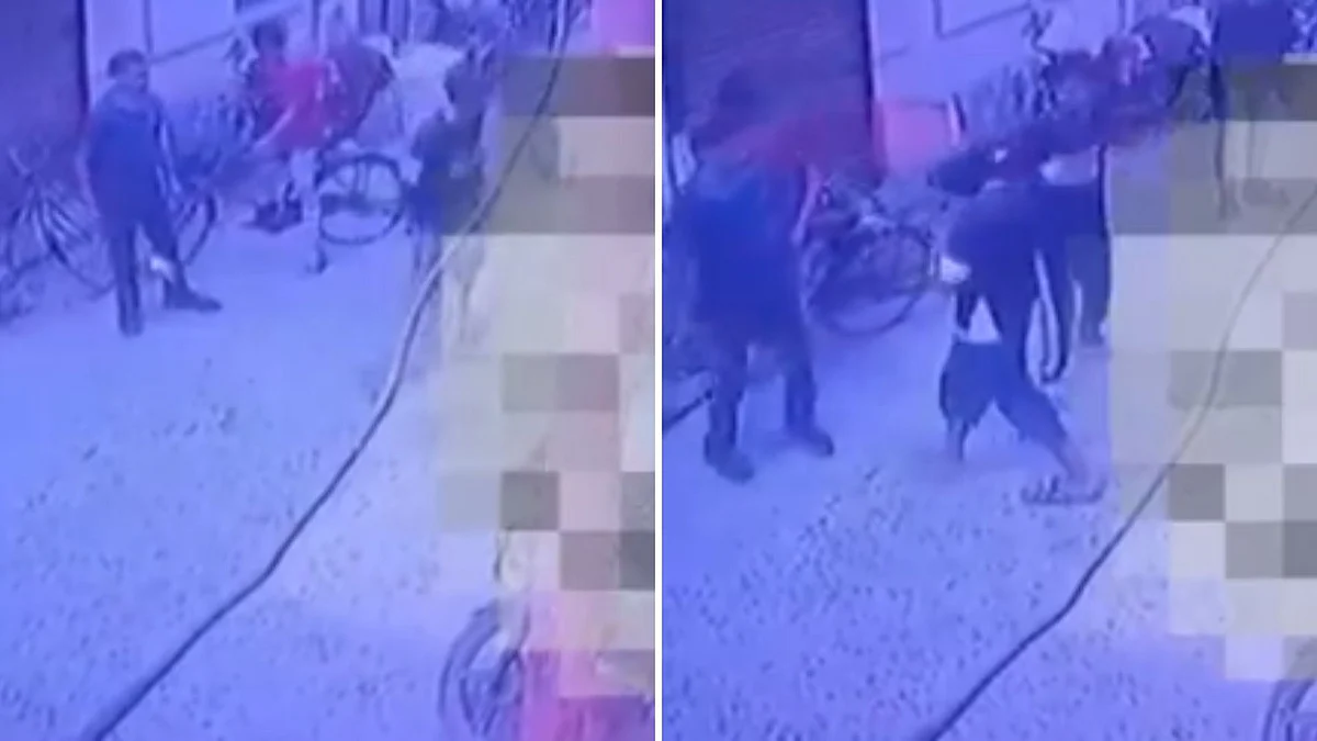 UP Horror: Youth Stabbed In Broad Daylight For Asking Way To Be Cleared; Banda Street Attack Video Goes Viral 