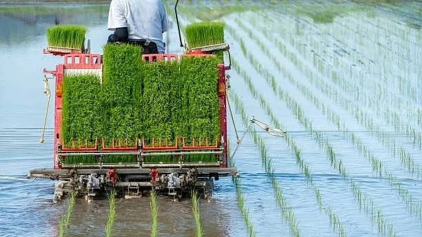 Team Inspects Paddy Sowing With Latest Machine In MP's Jabalpur