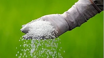 UP Govt Announces 50% Fencing Subsidy For Horticulture Farmers Under New Scheme 