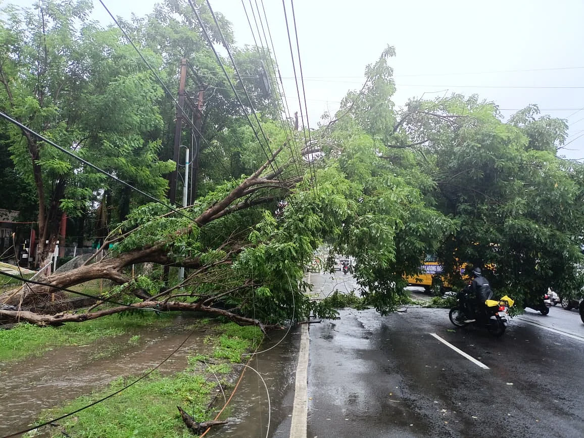 Bittan Market Road