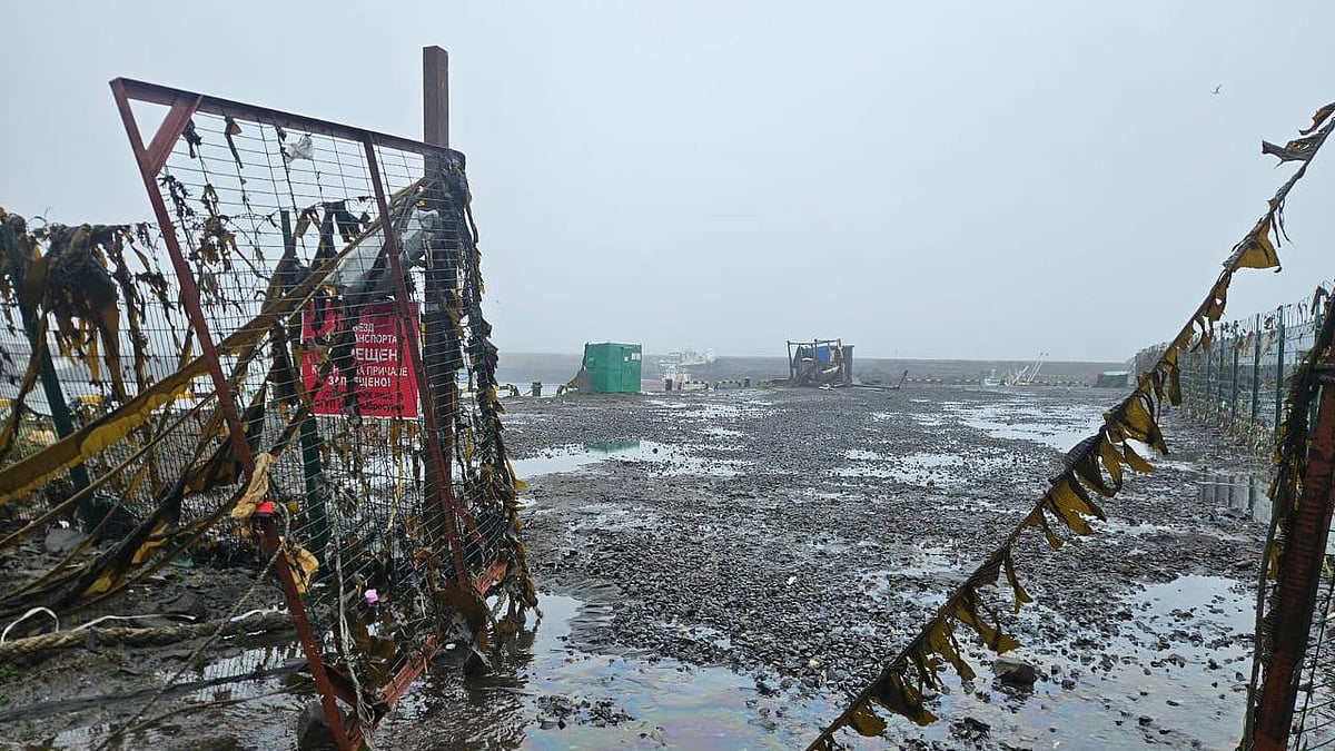 What is tsunami facts