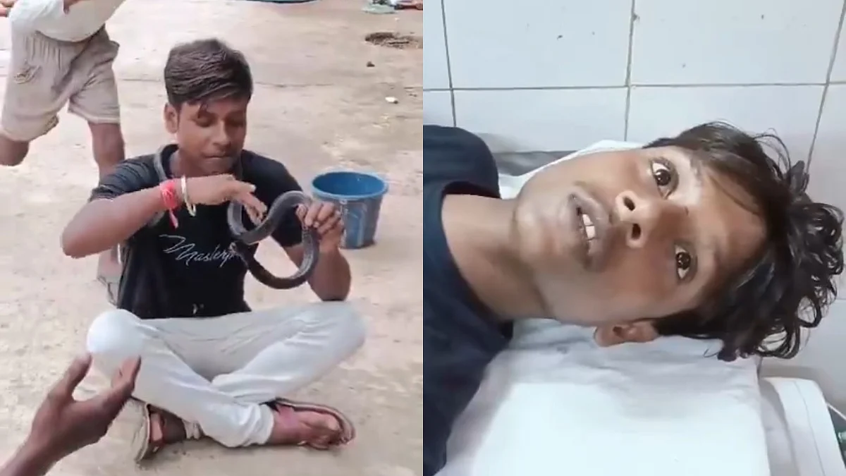Nag Panchami 2025: Venomous Snake Bites Youth Making Instagram Reel With It Around His Neck In UP's...