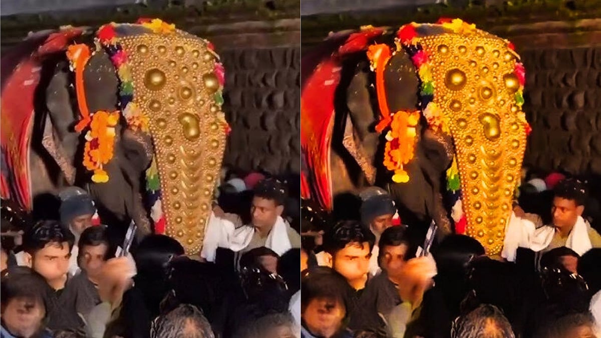 #BoycottJio: Protest Erupts In Kolhapur's Nandini Village After Elephant Mahadevi Moved To Jamnagar | File Photo