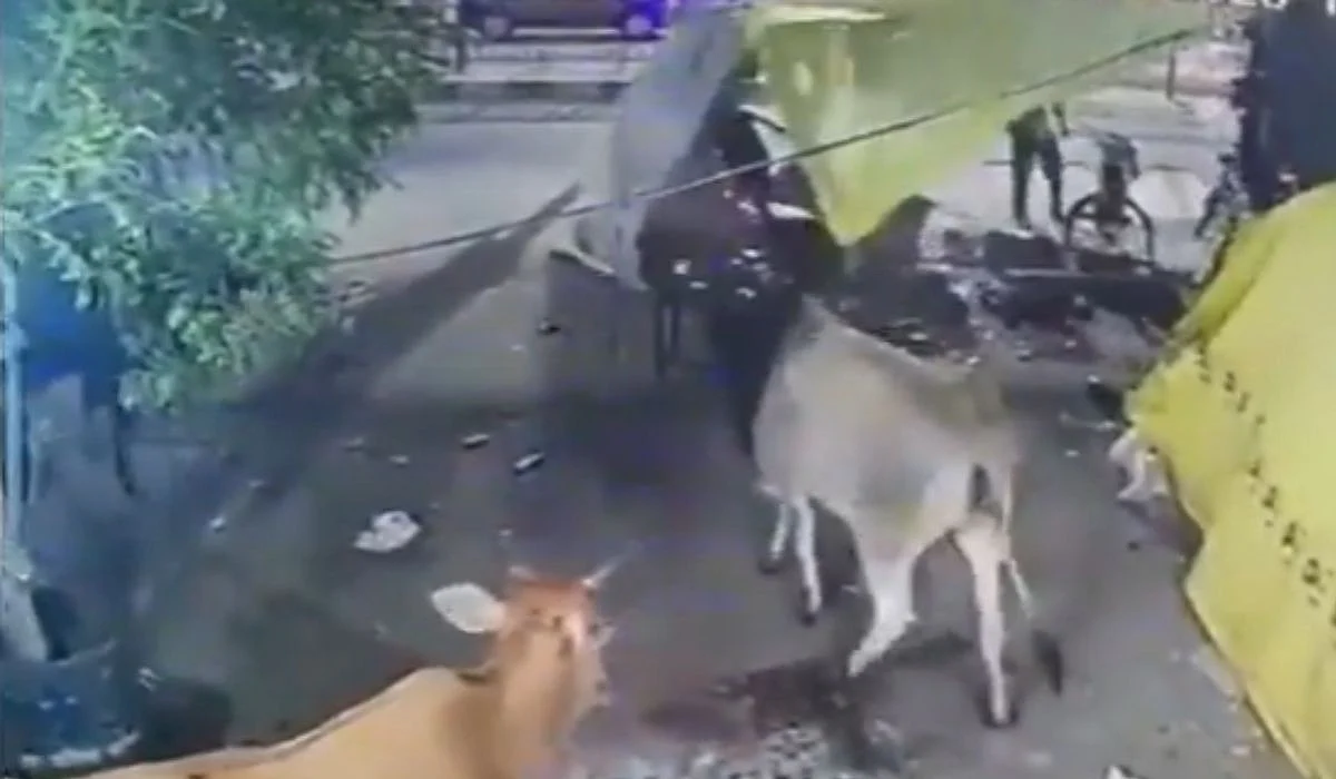 CCTV Screengrab | X/@priyarajputlive