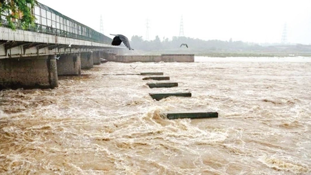 Uttar Pradesh News: Flood Fear In Hamirpur As Yamuna, Betwa Rivers Cross Danger Mark