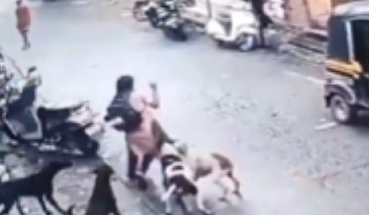 Thane News: Minor Schoolgirl Narrowly Escapes Deadly Stray Dog Attack In Ulhasnagar; Horrific VIDEO...