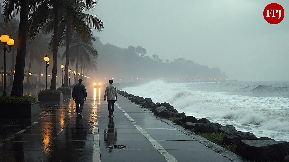 Mumbai Rains: IMD Predicts Light To Moderate Rainfall Today; Yellow Alert Issued In Parts Of...