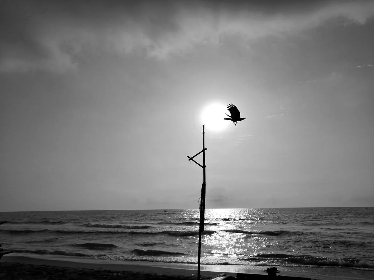 Liberation by Manosh