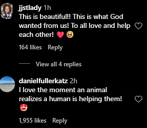 Comments