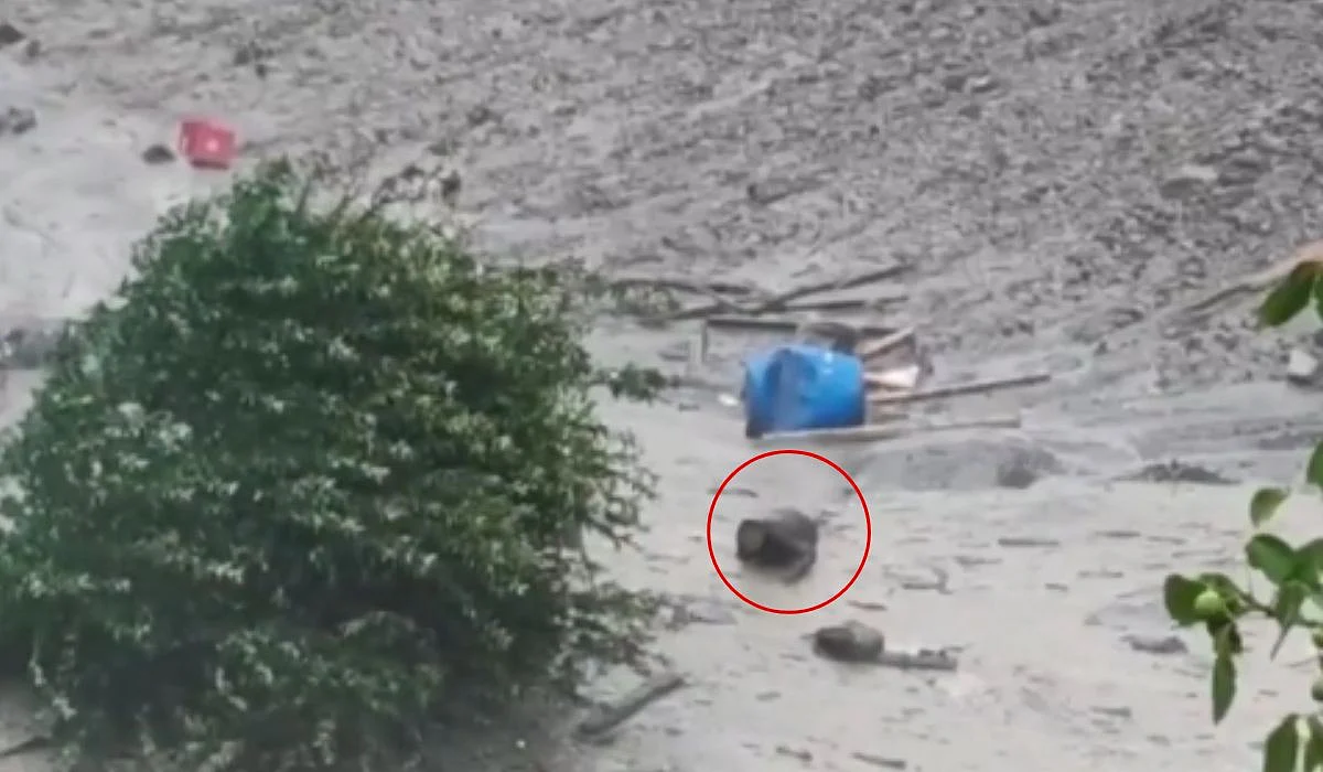 Miracle! Man Escapes Death, Crawls Out Of Sludge In Uttarakhand Flash Floods – VIDEO