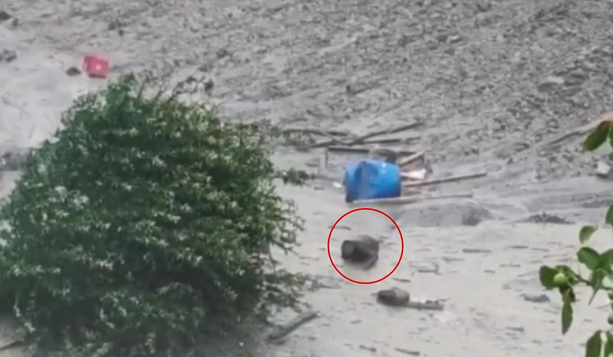 Miracle! Man Escapes Death, Crawls Out Of Sludge In Uttarakhand Flash Floods – VIDEO
