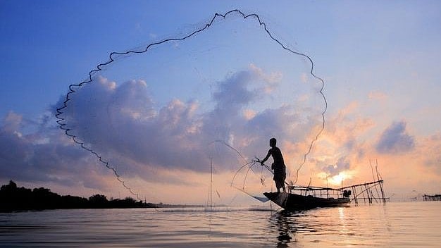 article-image