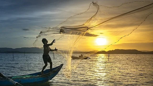 Maharashtra Sees 47% Rise In Marine Fish Production In 2024: CMFRI Report