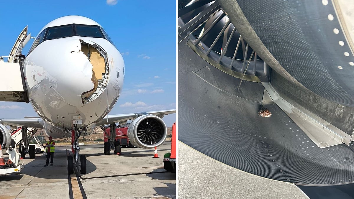 Passengers Panic As Cabin Fills With Smoke 20,000 Feet Mid-Air On Paris-Bound Iberia Flight After Bird Slams Into Plane Nose — VIDEO | X/@RT_com