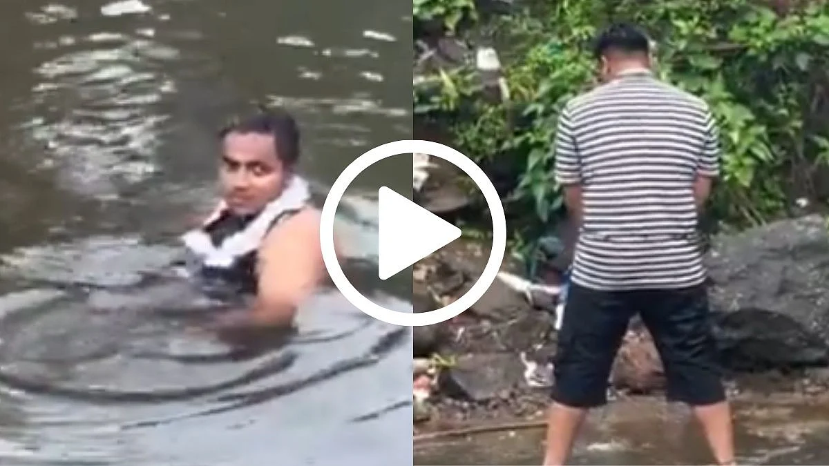 'Yuck! Disgusting': Viral Video From Lonavala's Bushi Dam Shows Man Enjoying In Same Stream Where...
