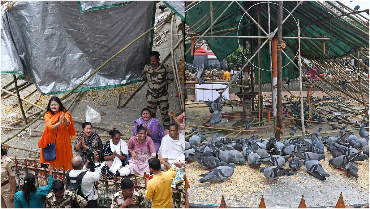 Pigeon feeders dismantle barricades at Dadar Kabutar Khana; police remain passive