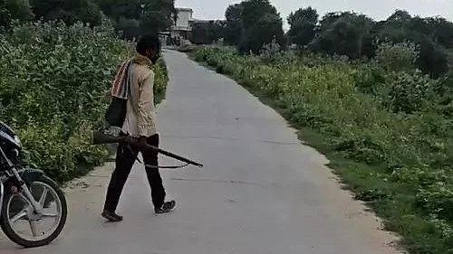 Rajasthan Horror: Over 25 Stray Dogs Brutally Shot Dead In Jhunjhunu; Chilling Video Surfaces