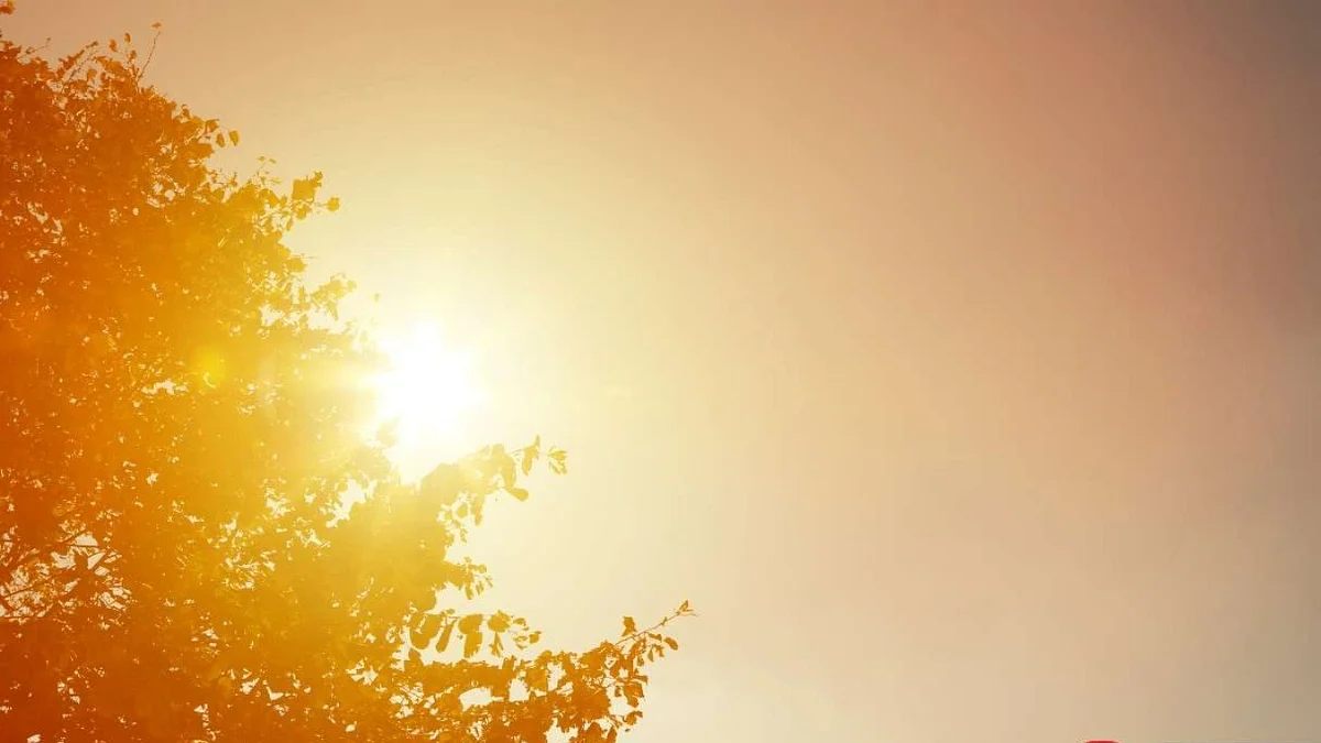 Madhya Pradesh August 6 2025, Weather Update: Sun Takes Over! Light Rain, No Heavy Rain In State...
