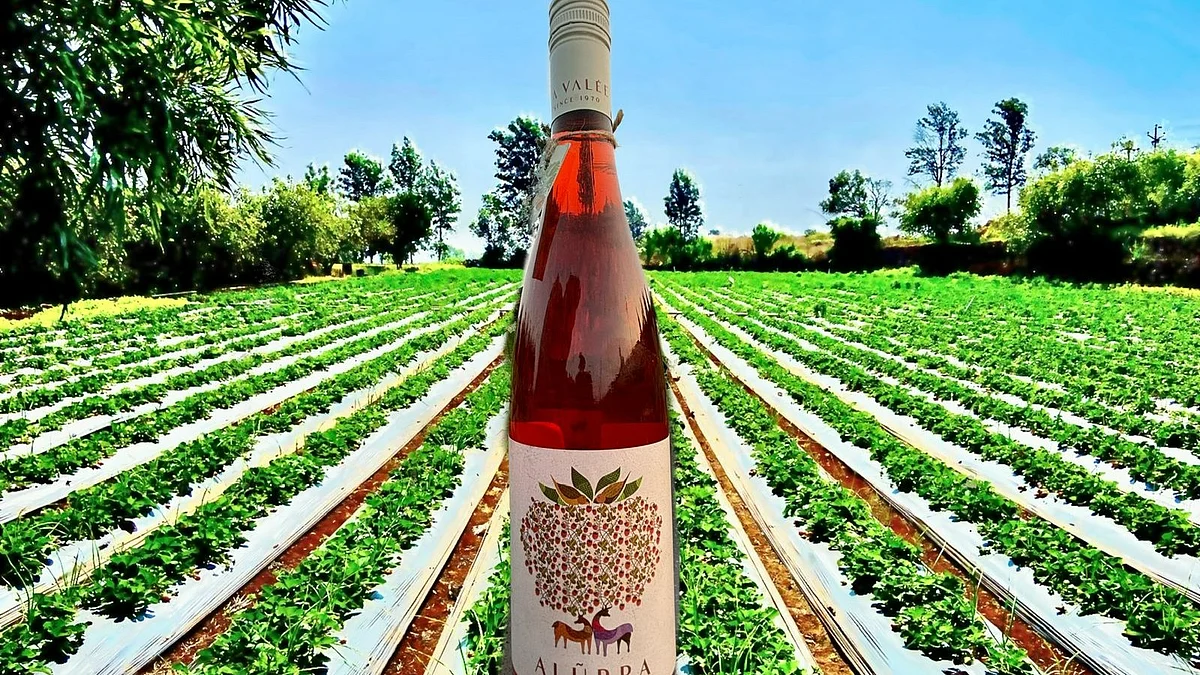 Mahabaleshwar’s Strawberry Wine ‘Alurra’ Shines On Global Stage At Sydney Wine Fair