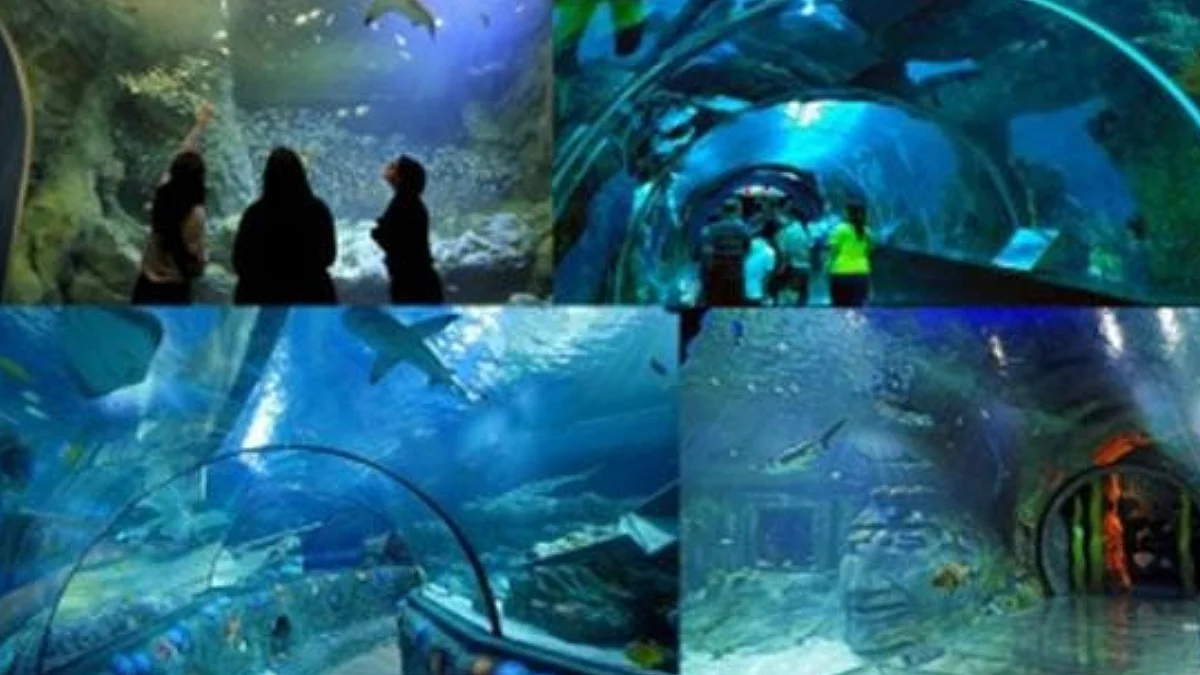 Mumbai News: Byculla Zoo To Get State-Of-The-Art Aquarium And Expanded Penguin Enclosure;...