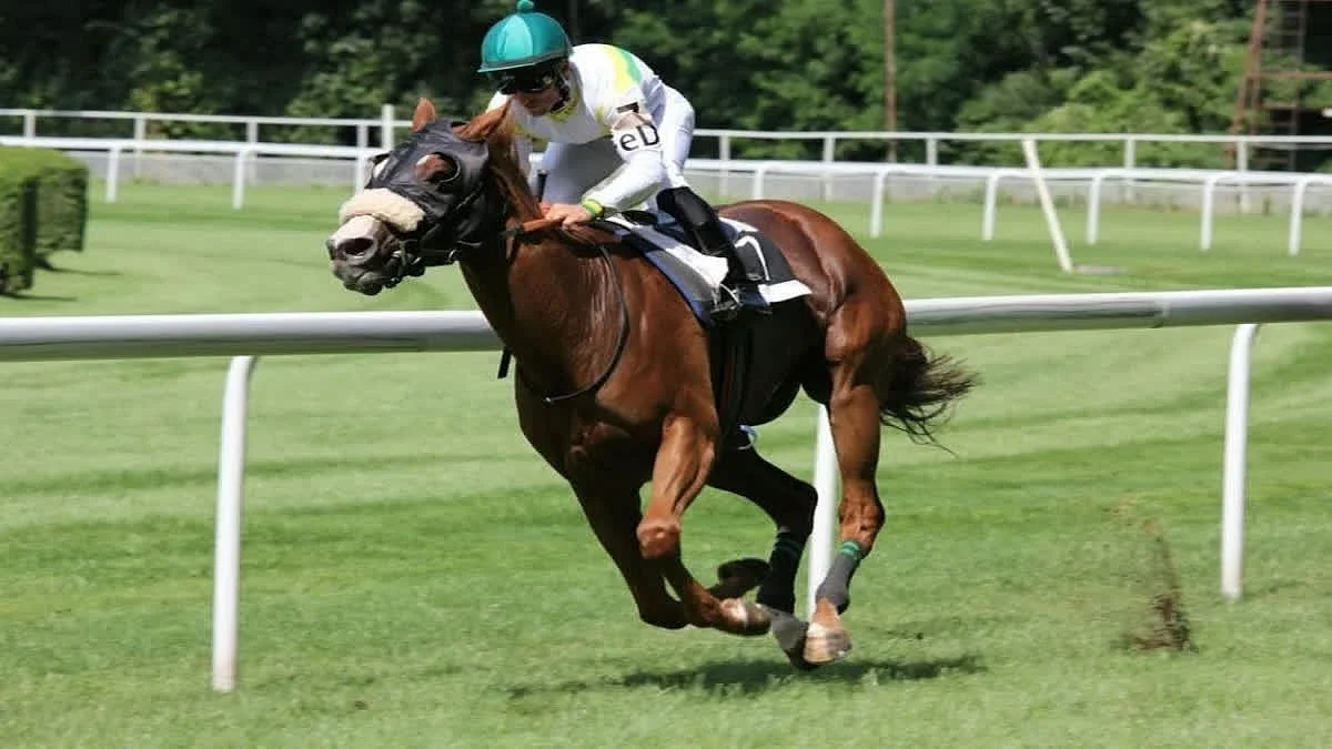 Pune Horse Racing: Constable Appeals The Best For Day’s Feature
