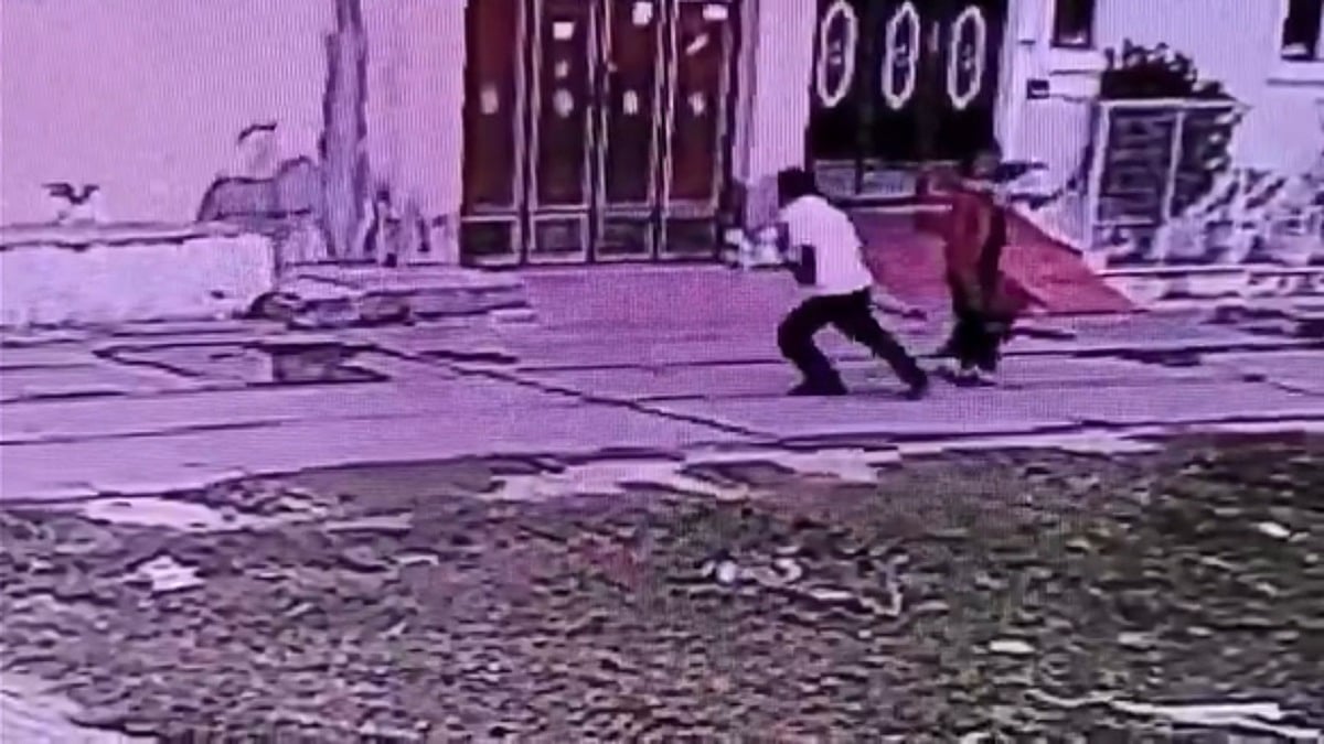 Haryana: Robbers Snatch Gold Chain Of BJP District Vice President's Wife In Narwana; AAP Reacts After Shocking CCTV Footage Surfaces