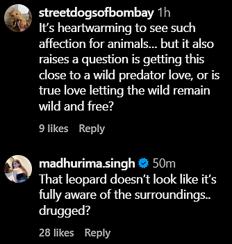 Comments
