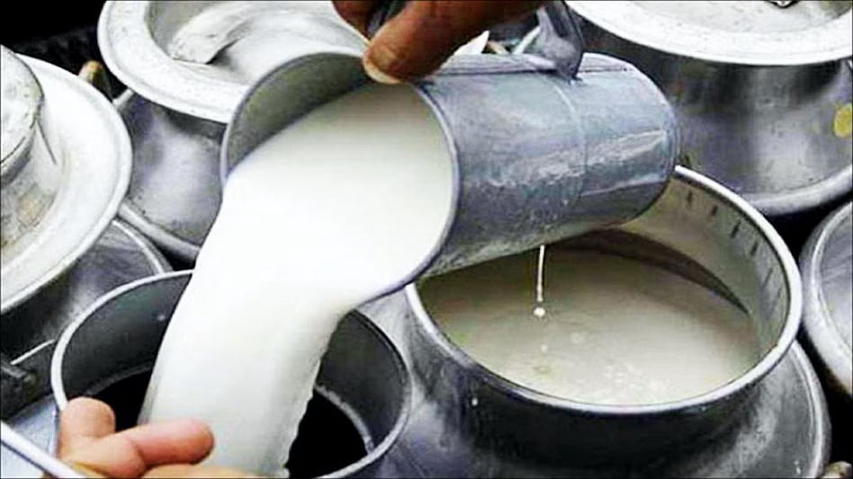 Mumbai Crime Branch Busts Milk Adulteration Racket In Dahisar, 488 Litres Seized | Representative image