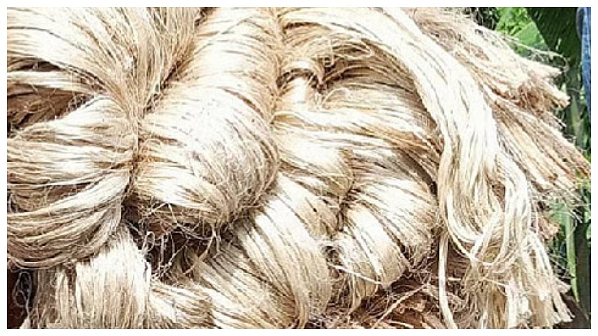 article-image