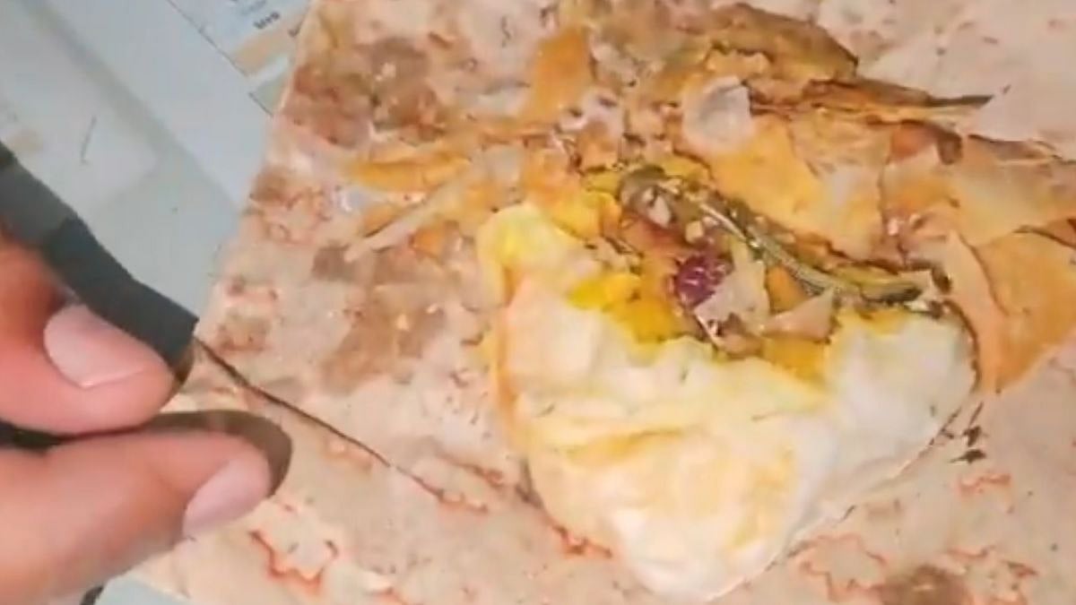 Disgusting! Woman Finds Snake In Curry Puff At Ayyangar Bakery In Telangana’s Mahabubnagar; Complaint Filed – VIDEO