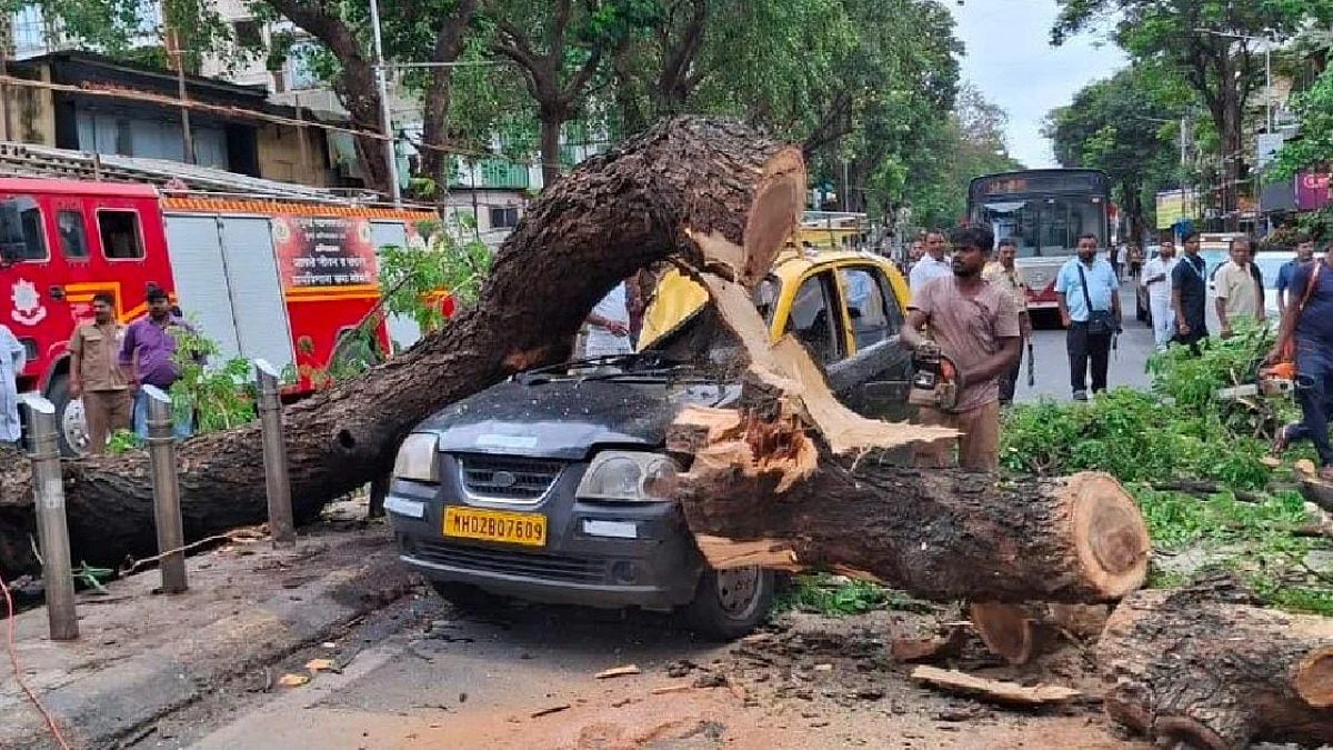 Mumbai Tragedy: Rain Tree Collapses On Moving Taxi Near Shivaji Park In Dadar, 35-Year-Old Driver...