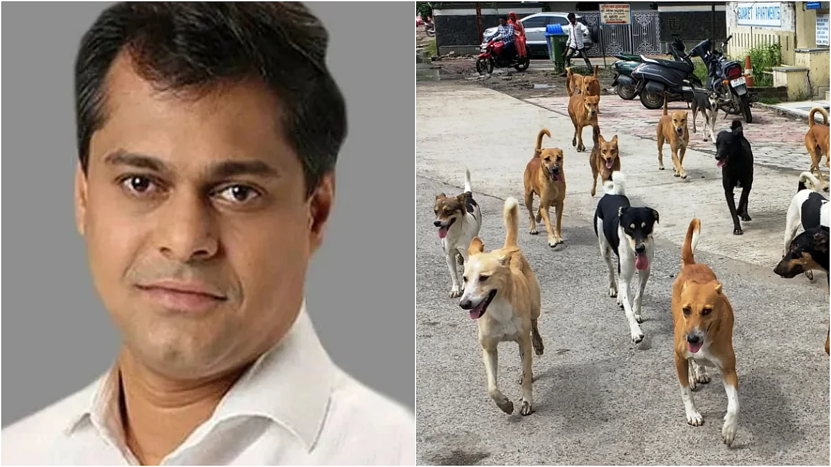 Mumbai News: BJP MLA Amit Satam Urges BMC To Establish Shelters And Accelerate Sterilisation Amid...