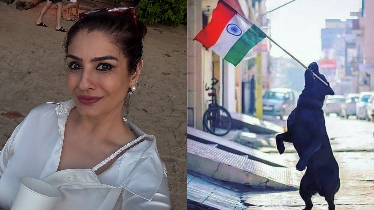 Independence Day 2025: Raveena Tandon Demands 'Freedom' For Delhi's Stray Dogs Days After SC Verdict 