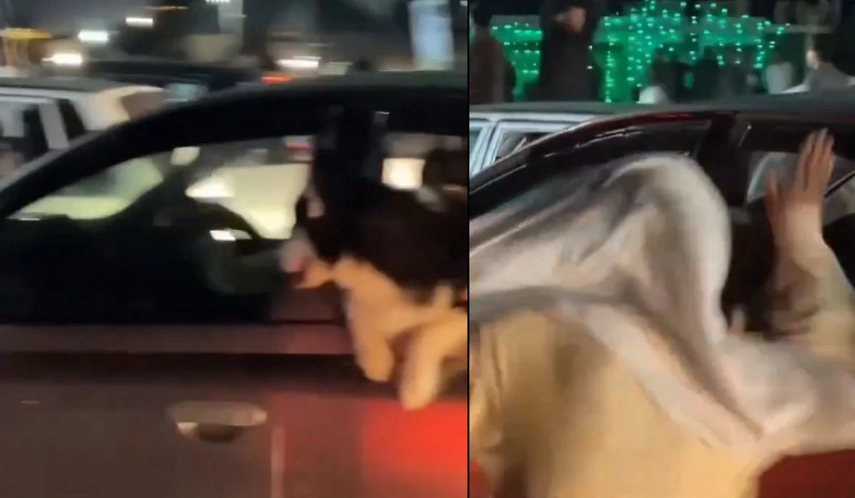 Group of Pakistanis Celebrating Independence Day On Road Slap Pet Dog Sitting Inside Car | X/@khialay