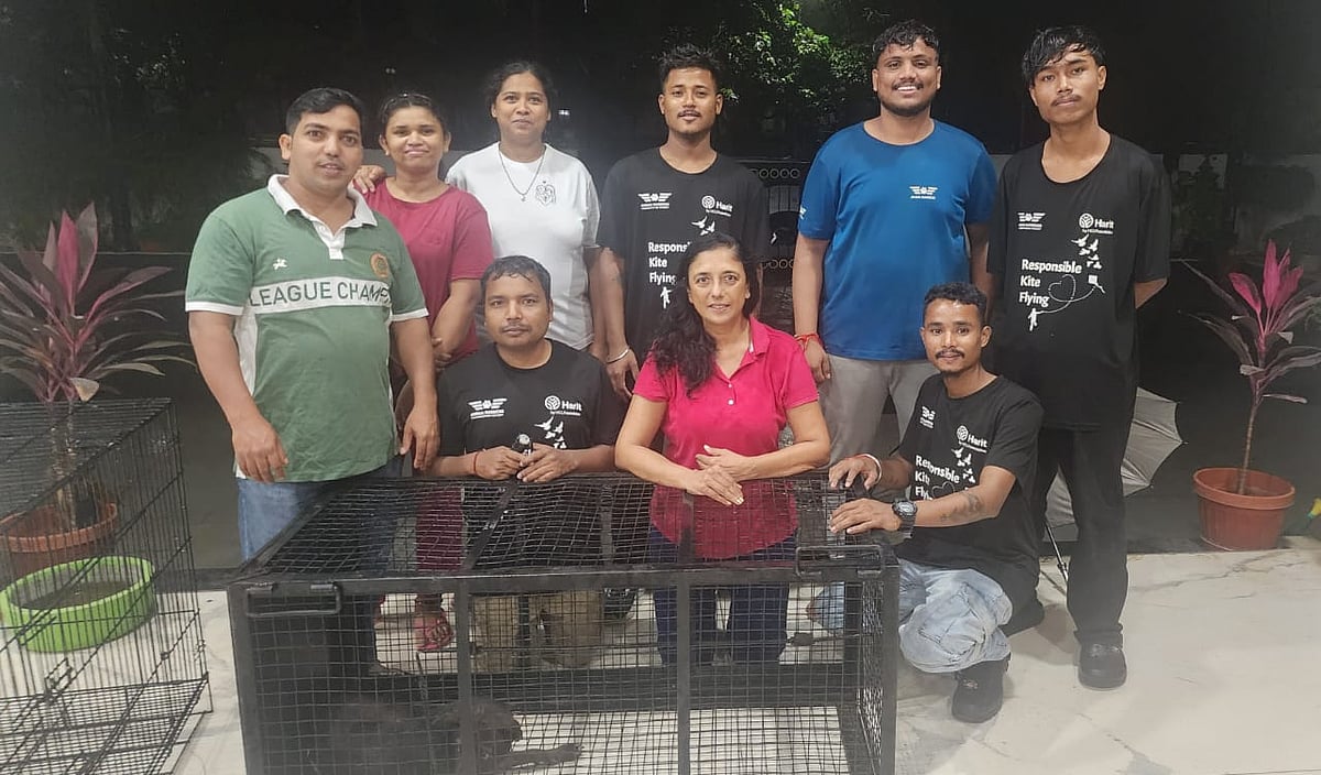 Naina's Rescue: How A Stranded Dog On Hyderabad’s Busiest Flyover United A City In Compassion & Responsibility