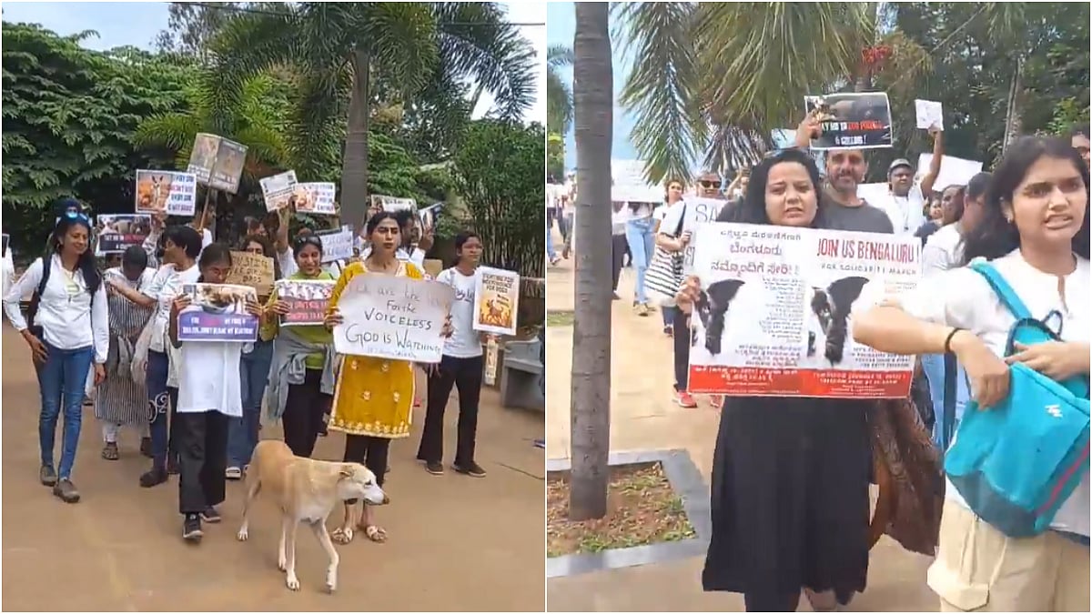VIDEO: Bengaluru Residents Rally In Support Of Delhi-NCR Stray Dogs After Supreme Court Judgment
