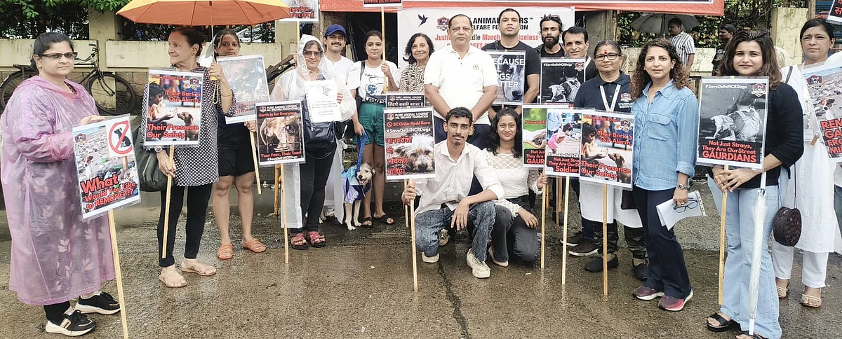 Animal Lovers Warn Maharashtra Govt Against Relocating Stray Dogs