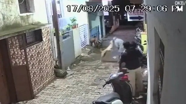 Caught On Camera: Stray Dog Attacks Elderly Man, Bites Him On Face In Chhatrapati Sambhajinagar