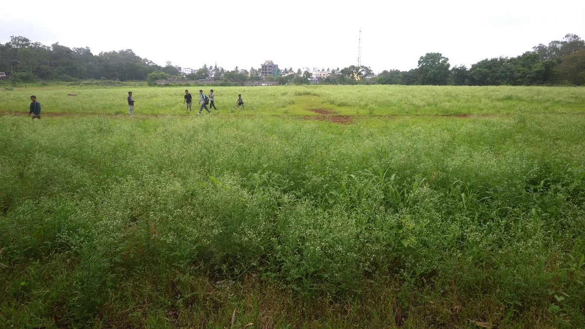 Pimpri-Chinchwad Sports Grounds Neglected; Athletes Face Encroachment, Overgrown Grass And Garbage Issues | Sourced